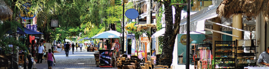 Calle tropical iluminada con luces de esferas cálidas entre árboles frondosos durante la noche.