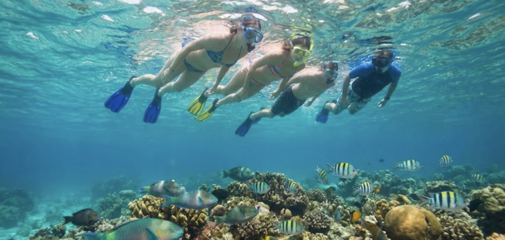Group of four people snorkeling over a vibrant coral reef surrounded by colorful tropical fish in clear turquoise water.